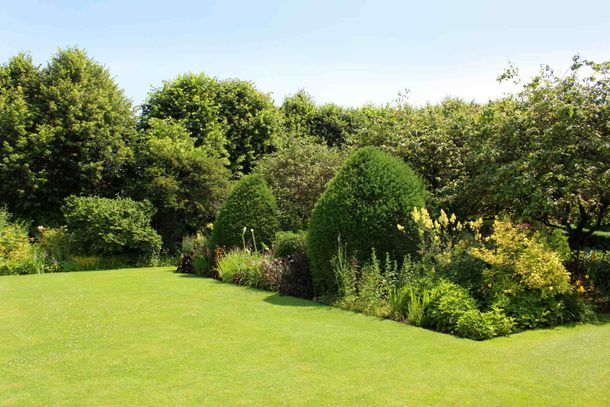 jardin parfaitement entretenu
